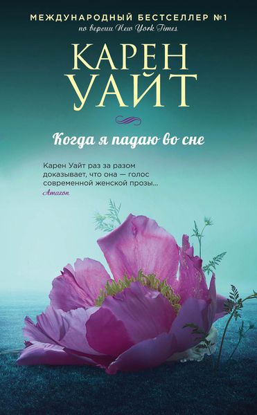 Обложка книги  «Когда я падаю во сне»