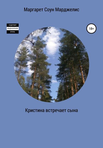 Обложка книги  «Кристина встречает сына»