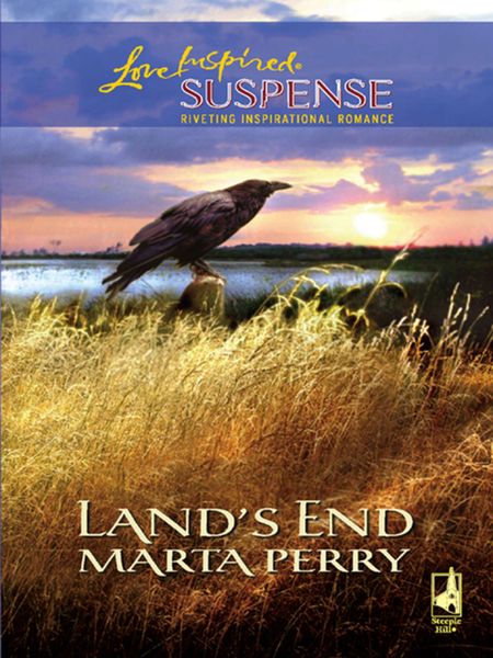 Обложка книги  «Land's End»
