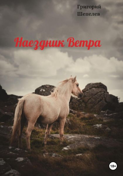 Обложка книги  «Наездник Ветра»
