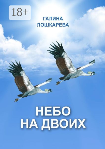 Обложка книги  «Небо на двоих»