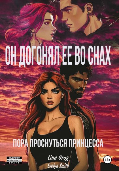 Обложка книги  «Он догонял ее во снах: пора проснуться принцесса»