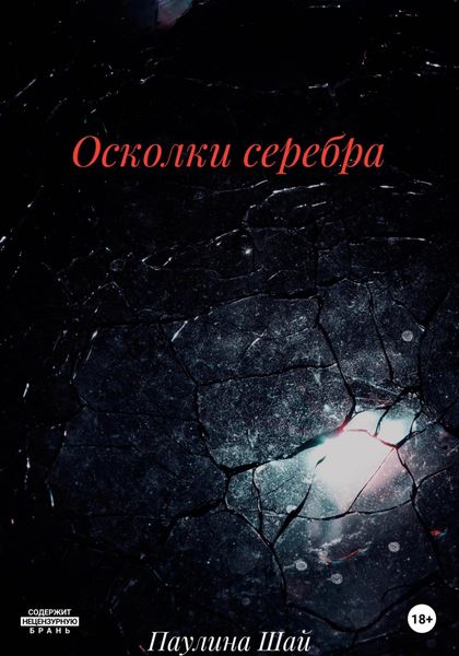 Обложка книги  «Осколки серебра»