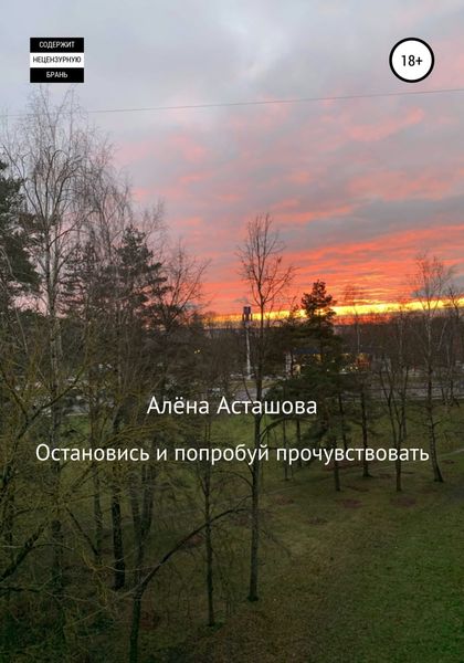Обложка книги  «Остановись и попробуй прочувствовать»