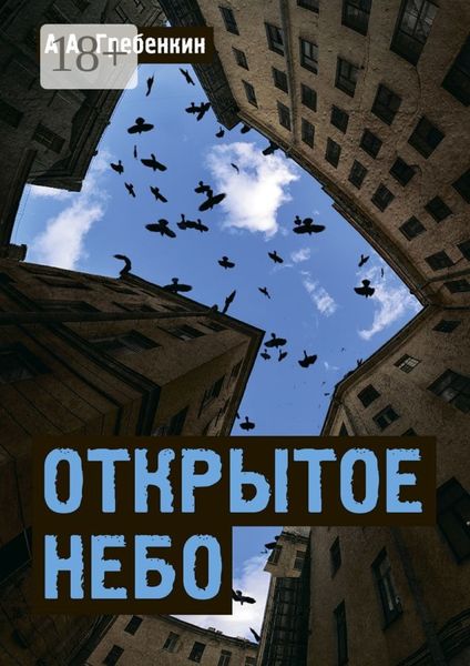 Обложка книги  «Открытое небо»