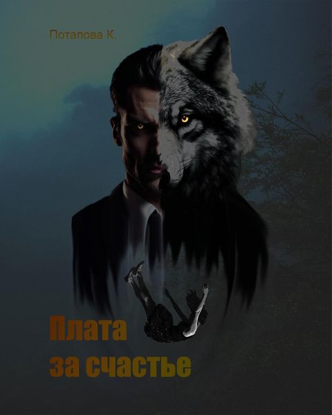 Обложка книги  «Плата за счастье»