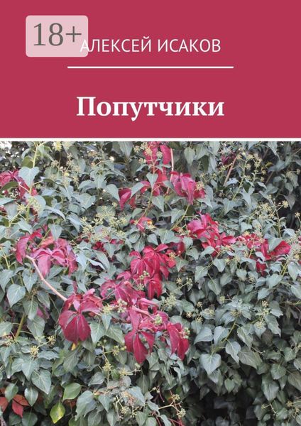 Обложка книги  «Попутчики»