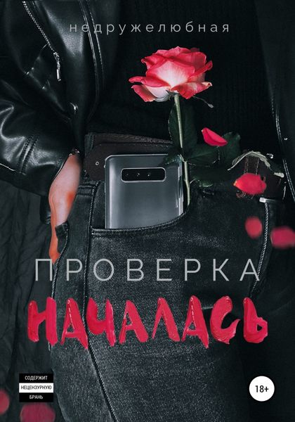 Обложка книги  «Проверка началась»