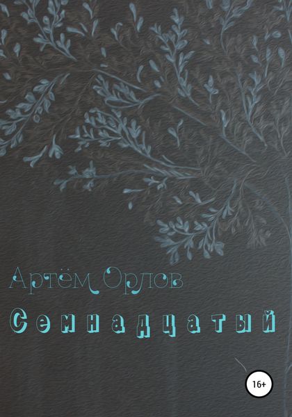 Обложка книги  «Семнадцатый»