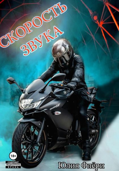 Обложка книги  «Скорость звука»