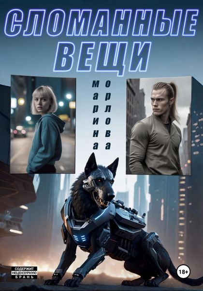 Обложка книги  «Сломанные вещи»
