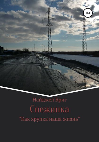 Обложка книги  «Снежинка»