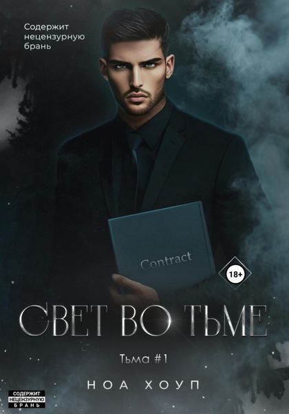 Обложка книги  «Свет во тьме»