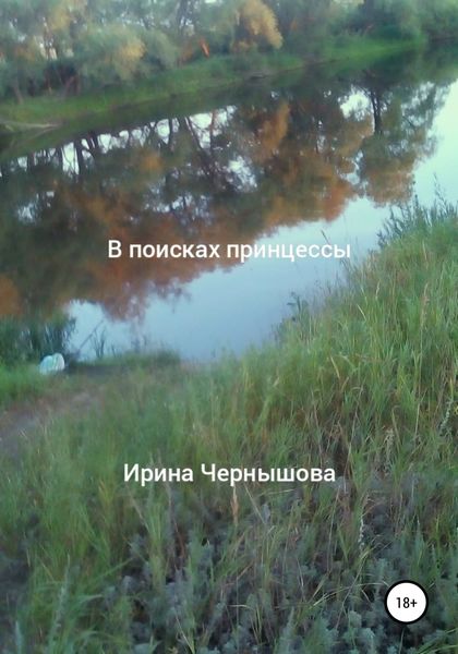 Обложка книги  «В поисках принцессы»