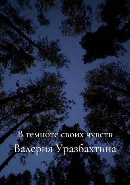 Обложка книги  «В темноте своих чувств»