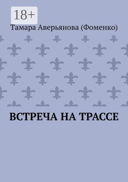 Обложка книги  «Встреча на трассе»