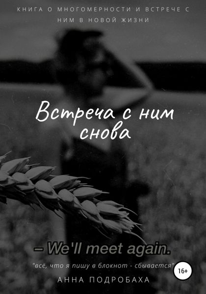 Обложка книги  «Встреча с ним снова»