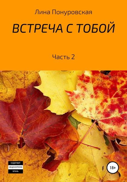 Обложка книги  «Встреча с тобой. Часть 2»