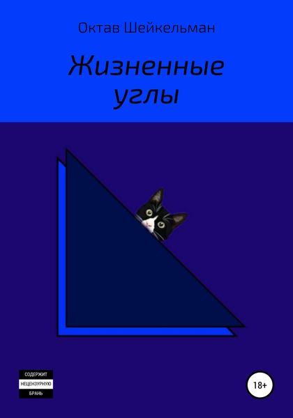 Обложка книги  «Жизненные углы»