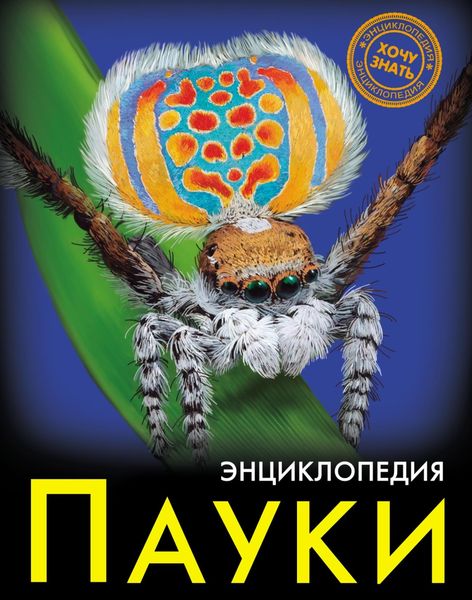 Обложка книги «Пауки»