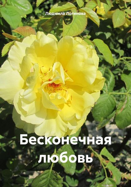 Обложка книги  «Бесконечная любовь»
