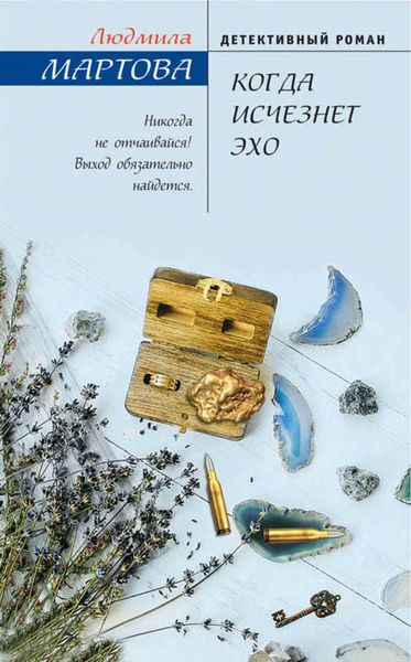 Обложка книги «Когда исчезнет эхо»