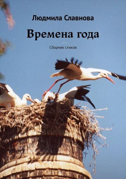 Обложка книги  «Времена года. Сборник стихов»