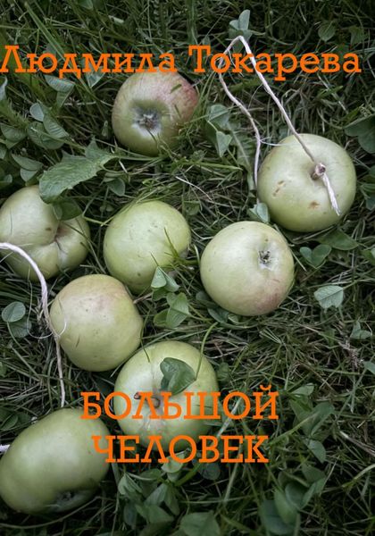 Обложка книги «Большой человек»