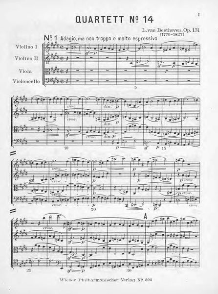 Обложка книги  «Streichquartett Cis moll»