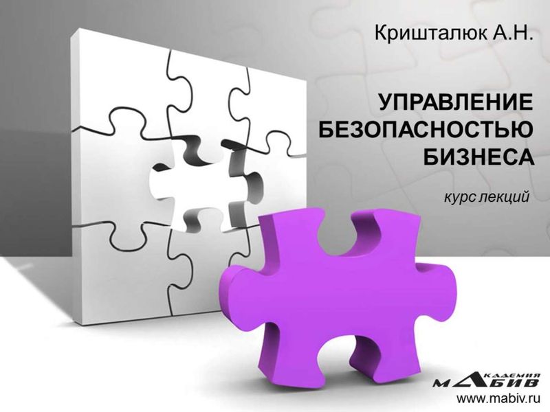 Обложка книги  «Управление безопасностью бизнеса»