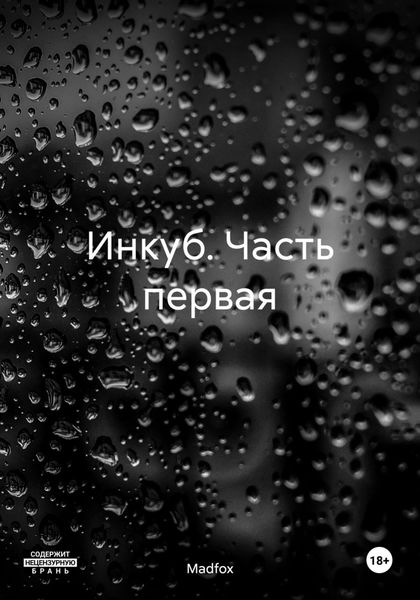 Обложка книги «Инкуб. Часть первая»