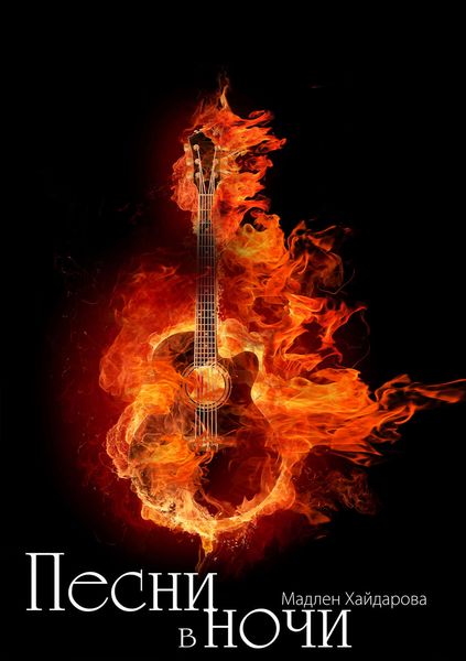 Обложка книги «Песня в ночи»