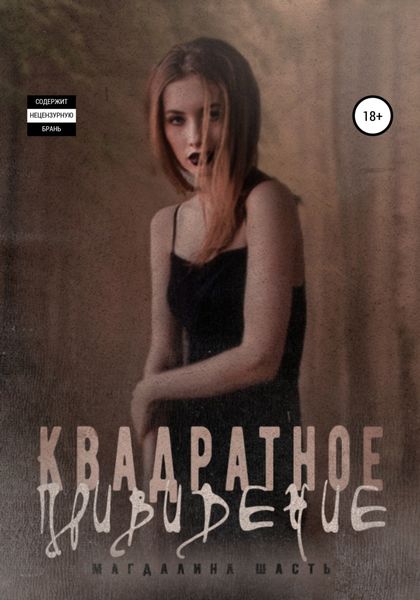 Обложка книги  «Квадратное привидение»