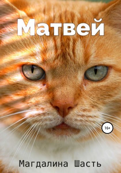Обложка книги «Матвей»