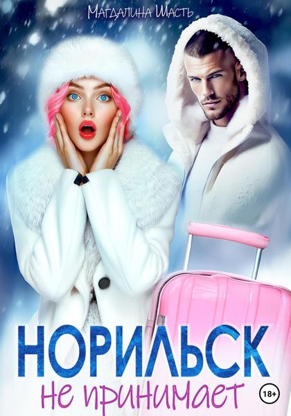 Обложка книги  «Норильск не принимает»