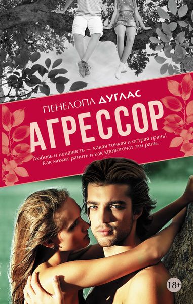 Обложка книги  «Агрессор»