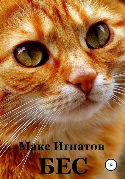 Обложка книги  «Бес»