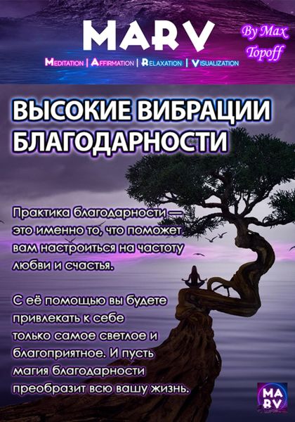 Обложка книги  «Высокие Вибрации Благодарности»