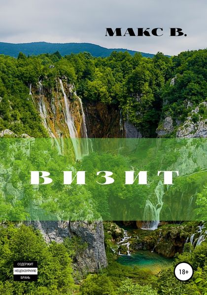 Обложка книги  «Визит»