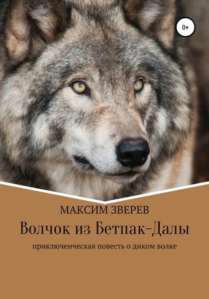 Обложка книги «Волчок из Бетпак-Далы»