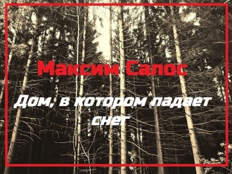 Обложка книги  «Дом, в котором падает снег»