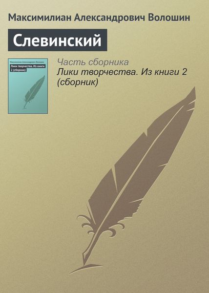 Обложка книги «Слевинский»