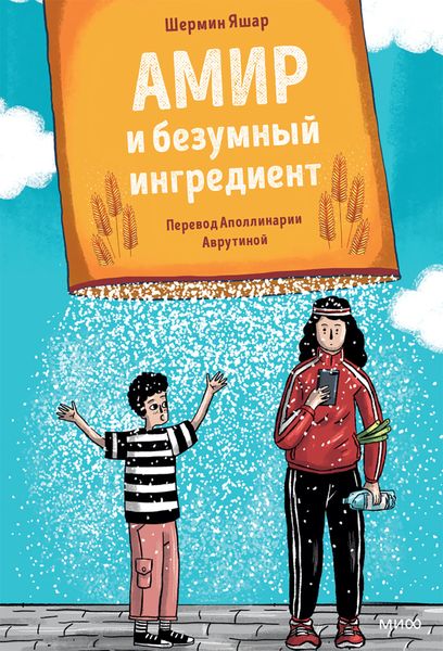 Обложка книги «Амир и безумный ингредиент»