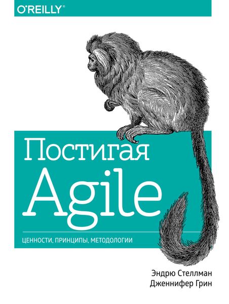 Обложка книги  «Постигая Agile»