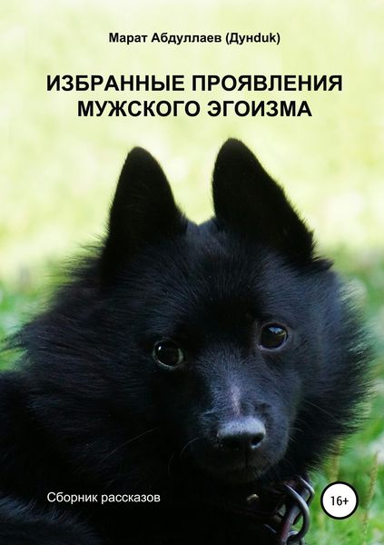 Обложка книги  «Избранные проявления мужского эгоизма. Сборник рассказов»