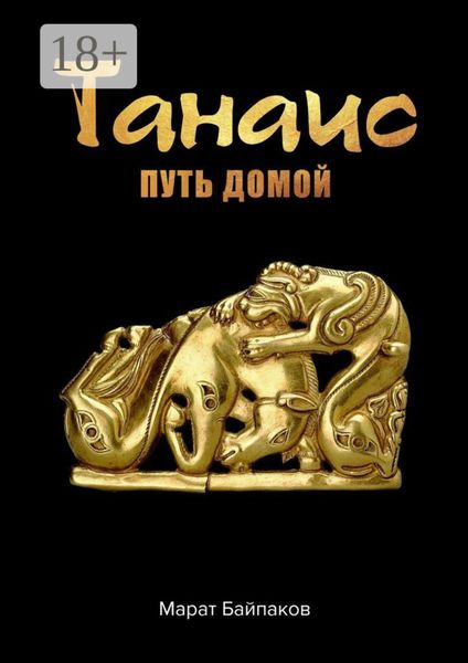 Обложка книги  «Танаис. Путь домой»
