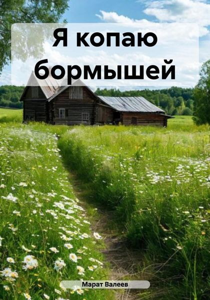 Обложка книги  «Я копаю бормышей»