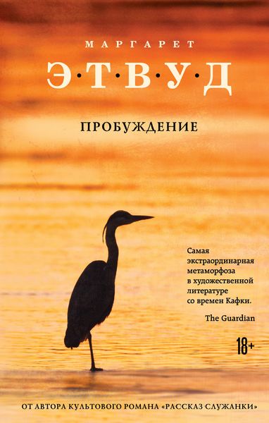 Обложка книги  «Пробуждение»