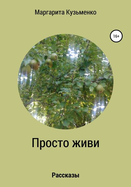Обложка книги  «Просто живи. Рассказы»