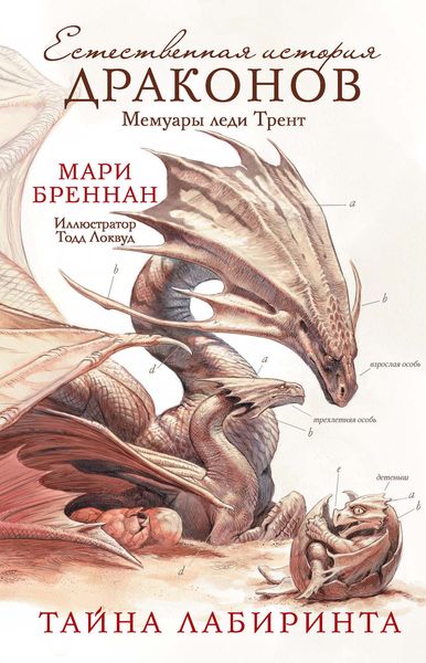 Обложка книги «Мемуары леди Трент: Тайна Лабиринта»